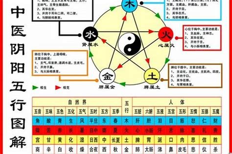 1984五行屬什麼|1984年属鼠是什么命，84年出生五行属什么